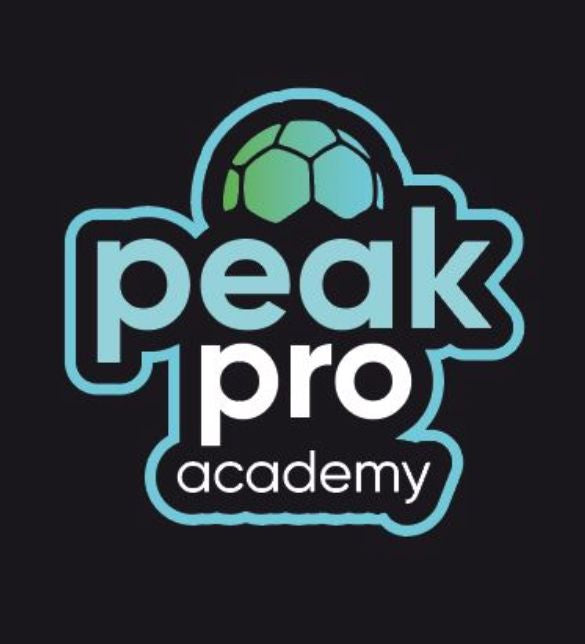 Fußball Gruppen- und Fördertraining für Feldspieler-/innen - PeakPro Academy